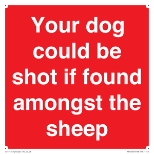 Your dog could be shot if found amongst the sheep